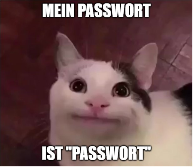 Mein Passwort ist Passwort. Eine schwarz weiße Katze mit menschlichen Mund grinst.